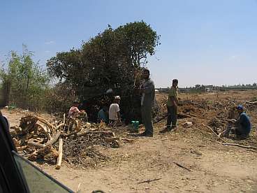 Beit Hanoun 1